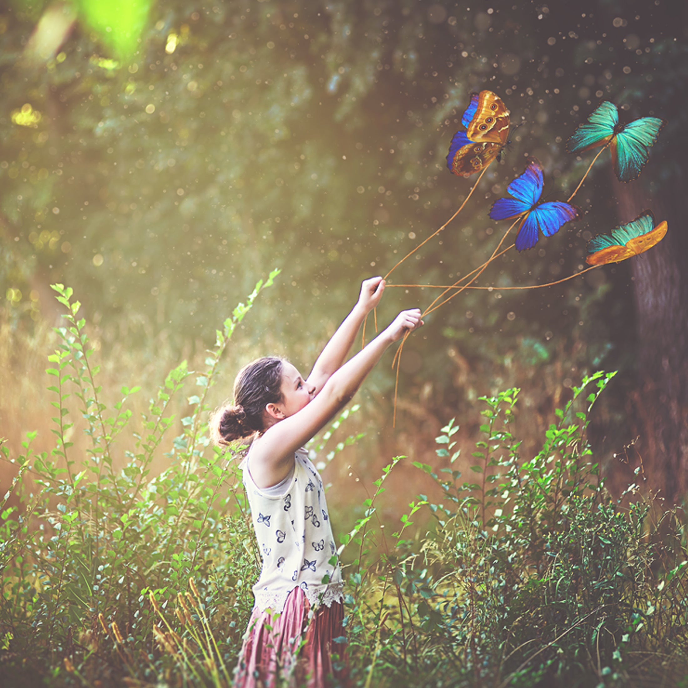 BUTTERFLY & WINGS